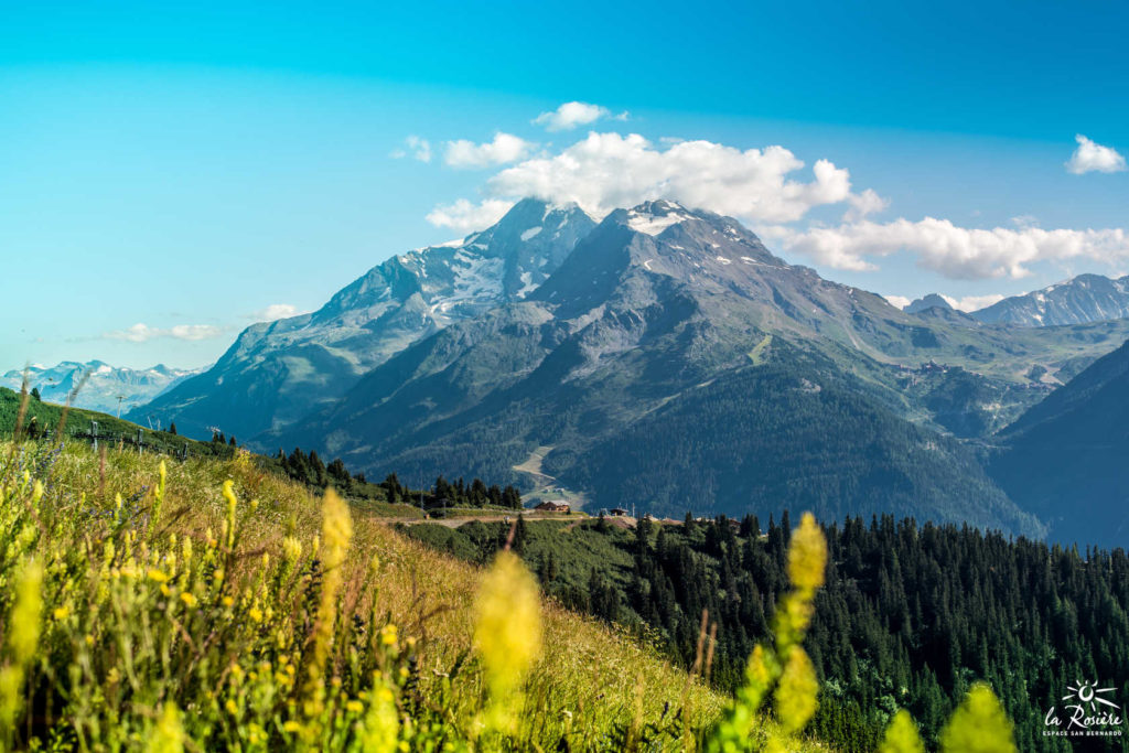 La Rosière  - paysage 