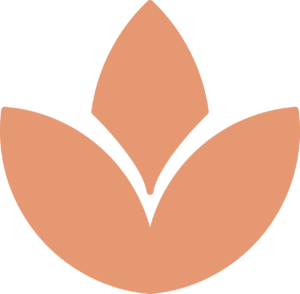 alpapart-lotus-2
